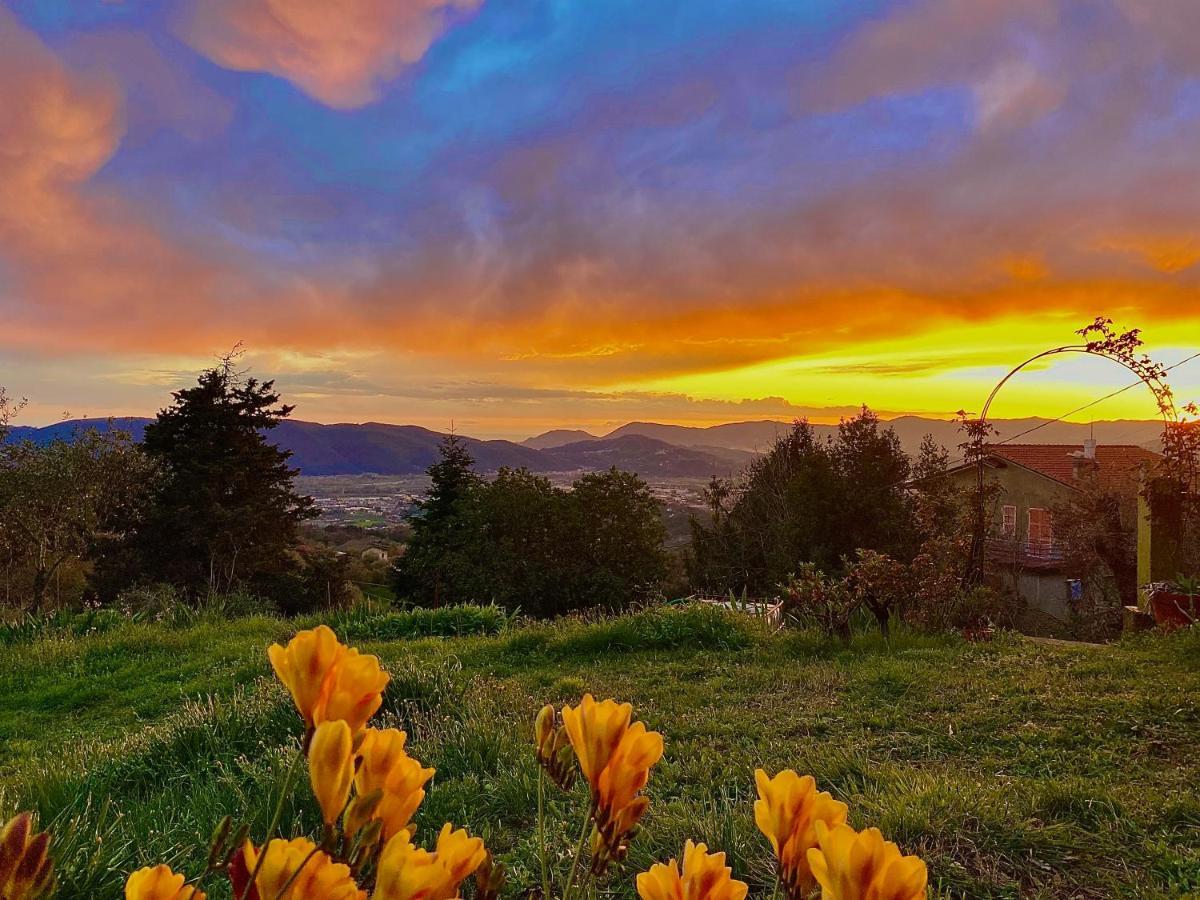 La Ginestra B&B Фоздіново Екстер'єр фото